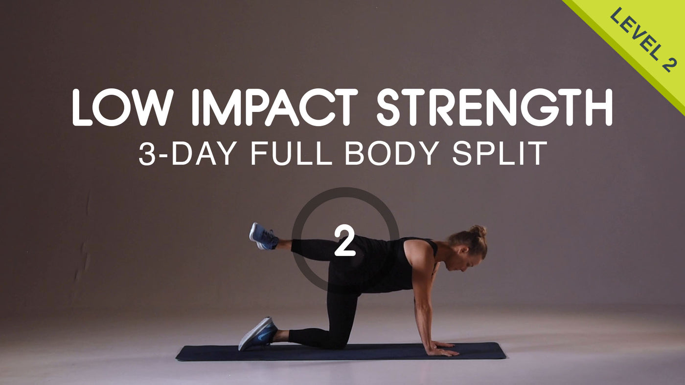 3-Day Split Low Impact Strength - Workout #2